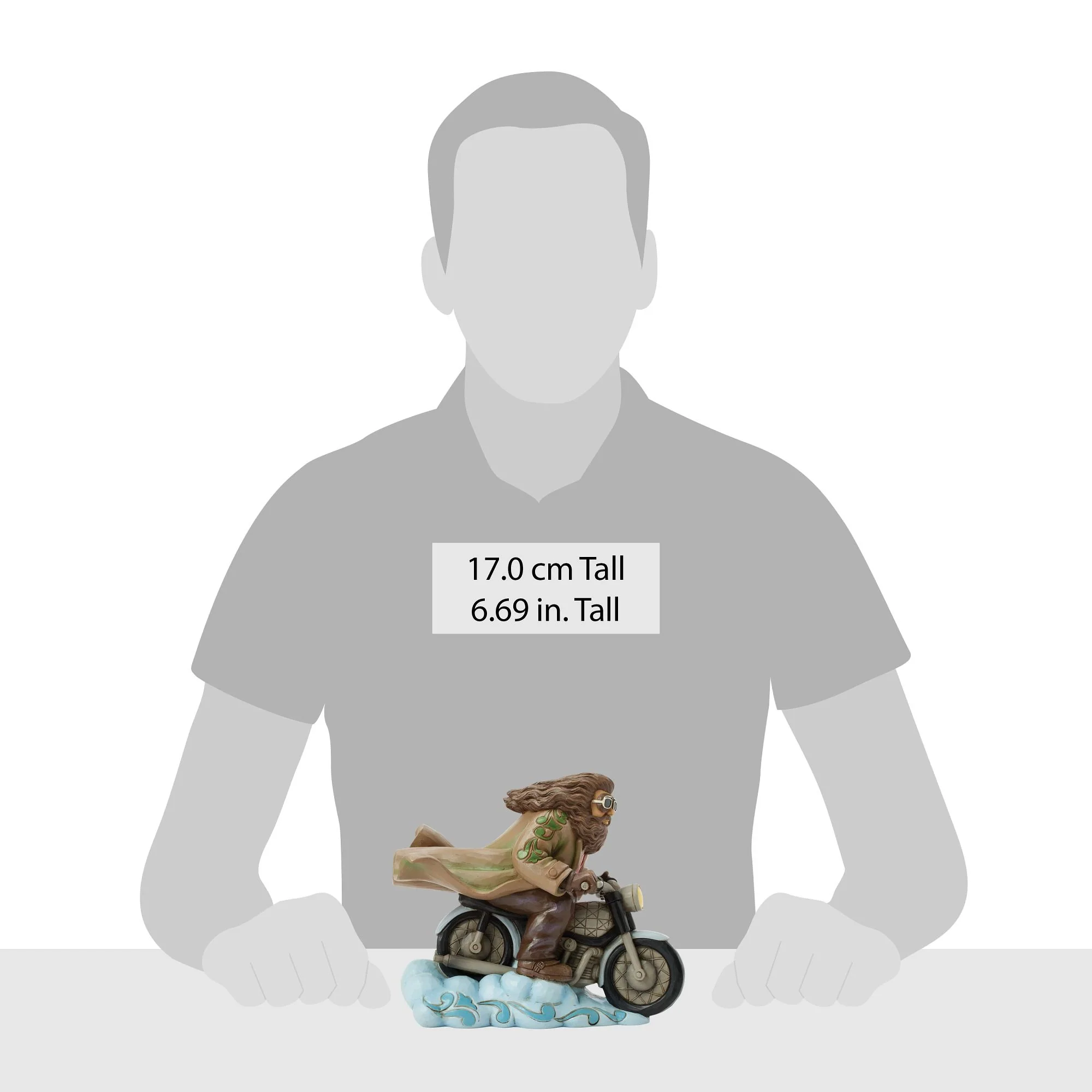 Hagrid on Bike - Image 4